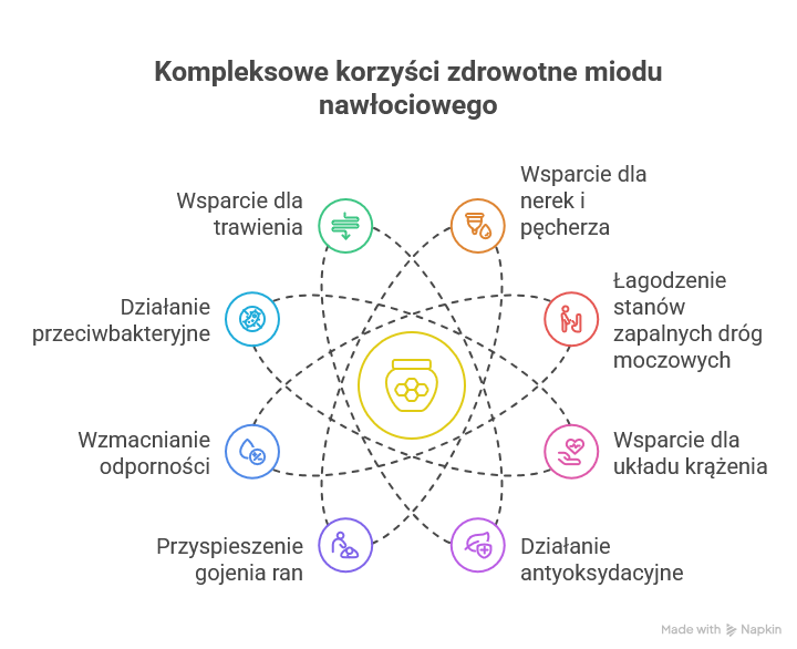 Miód nawłociowy na co pomaga - inforgrafika