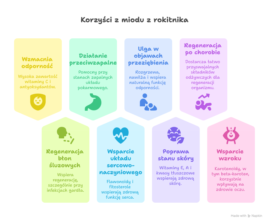 Miód z rokitnika - na co pomaga infografika