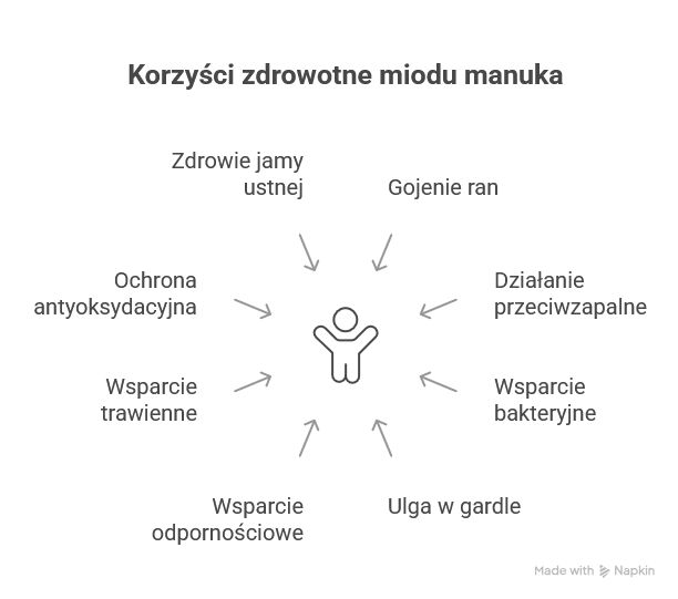 Miód manuka - infografika