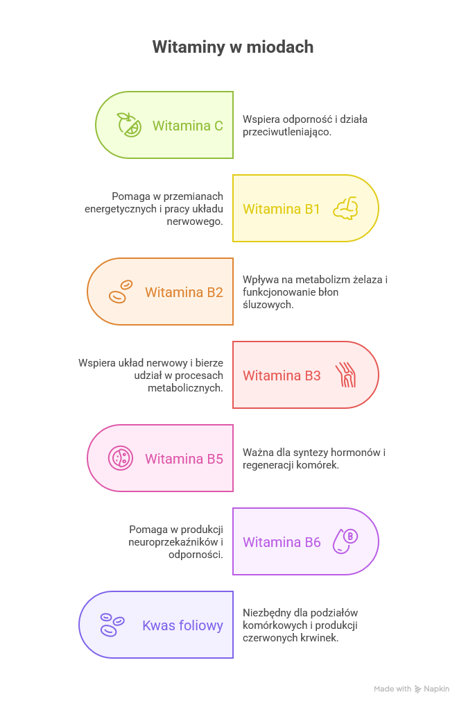 Witaminy w miodzie – inforgrafika