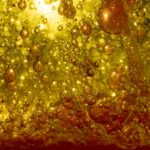 Czym charakteryzuje się miód nektarowy wielokwiatowy