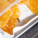 Jak smakuje miód pitny