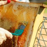 ile kosztuje miód (wszystkie rodzaje miodów)